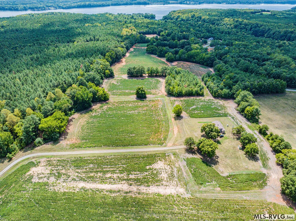 Acreage,Unimproved Land at 0 Chase Lane, Gaston NC 27832, Gaston, photo 5 of 60
