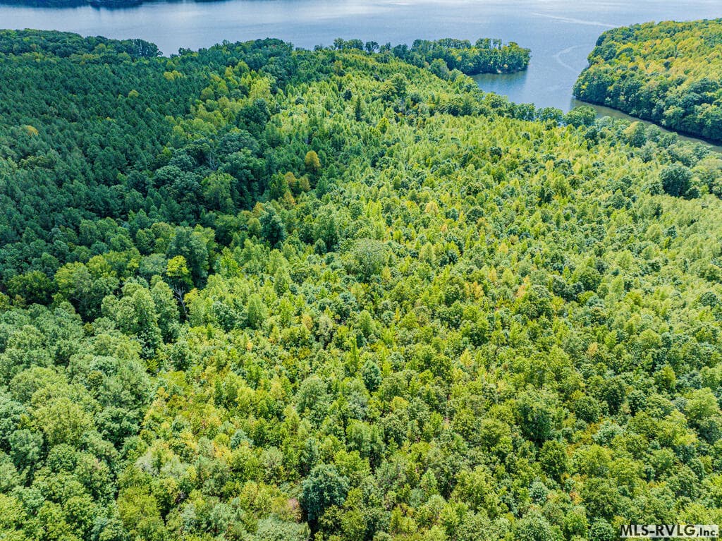 Acreage,Unimproved Land at 0 Chase Lane, Gaston NC 27832, Gaston, photo 21 of 60