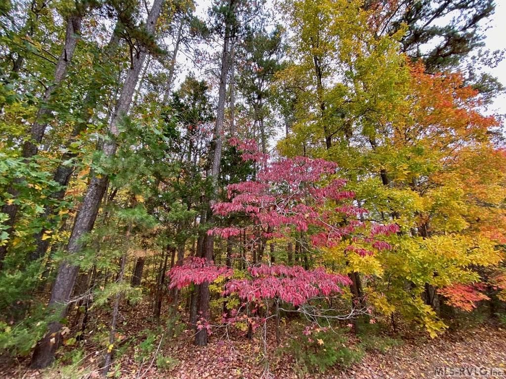 Residential Lot-Restricted,Unimproved Land at Lot 50 Large Mouth Lane, Clarksville VA 23927, Clarksville, photo 6 of 24