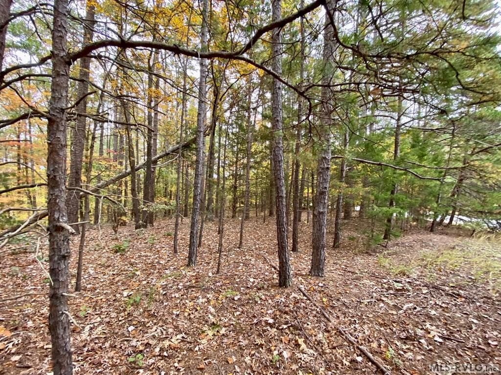 Residential Lot-Restricted,Unimproved Land at Lot 50 Large Mouth Lane, Clarksville VA 23927, Clarksville, photo 13 of 24