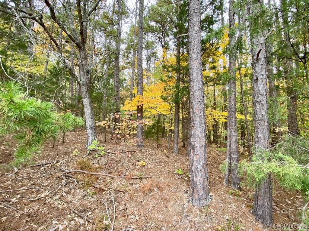 Residential Lot-Restricted,Unimproved Land at Lot 50 Large Mouth Lane, Clarksville VA 23927, Clarksville, photo 12 of 24