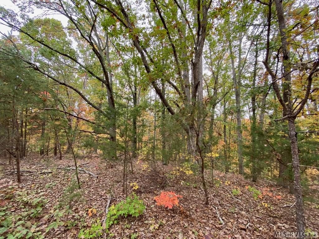 Residential Lot-Restricted,Unimproved Land at Lot 50 Large Mouth Lane, Clarksville VA 23927, Clarksville, photo 14 of 24
