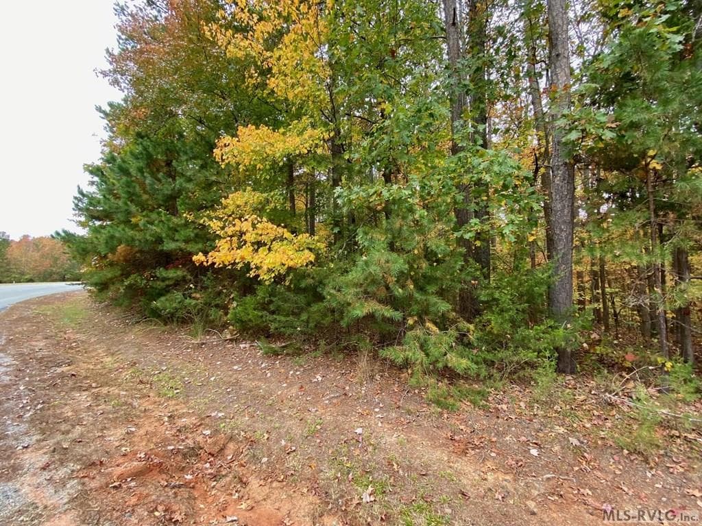 The Road Frontage - Lot 50 Large Mouth Lane, Clarksville VA 23927, Clarksville