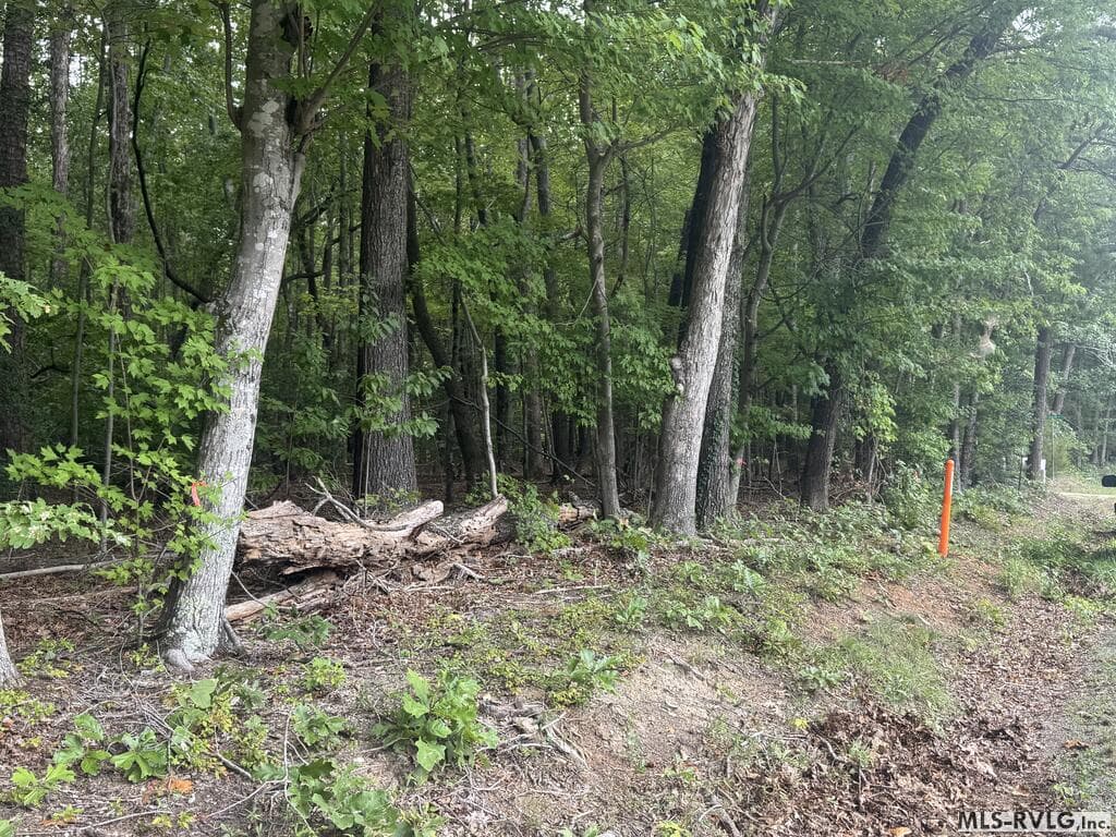 Other-See Remarks,Unimproved Land at Lot 1B Mill Creek Road, Clarksville VA 23927, Clarksville, photo 16 of 21