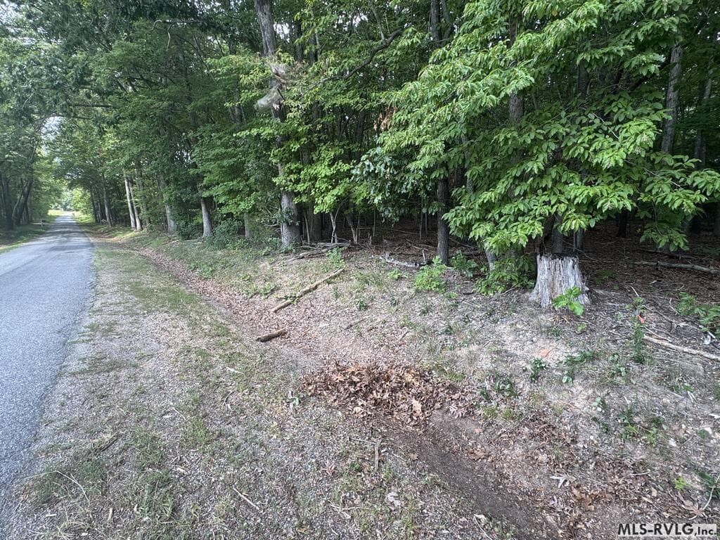 Other-See Remarks,Unimproved Land at Lot 1B Mill Creek Road, Clarksville VA 23927, Clarksville, photo 12 of 21
