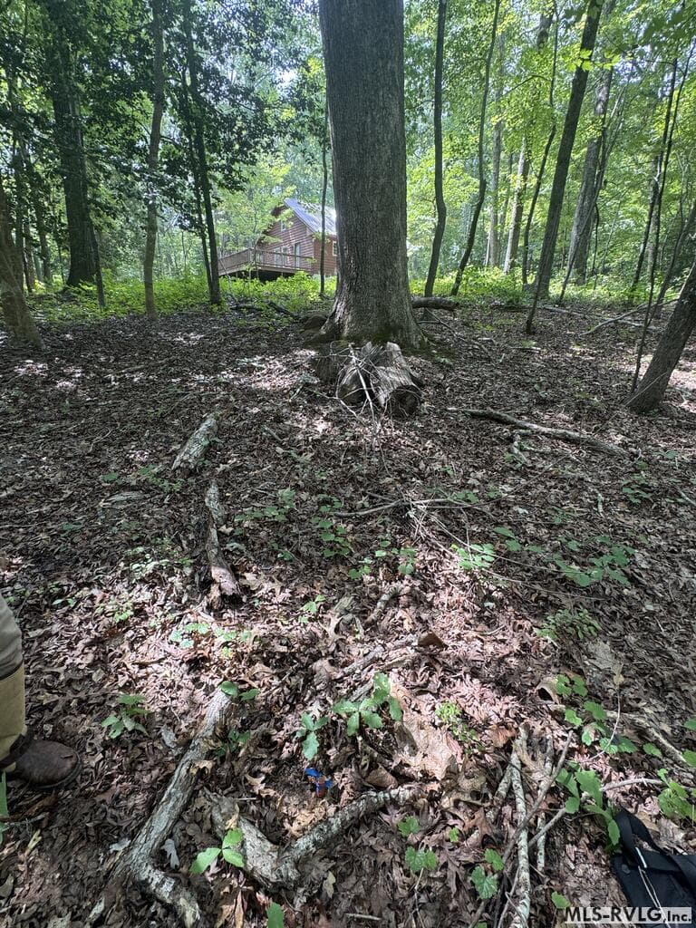 Other-See Remarks,Unimproved Land at Lot 1B Mill Creek Road, Clarksville VA 23927, Clarksville, photo 18 of 21