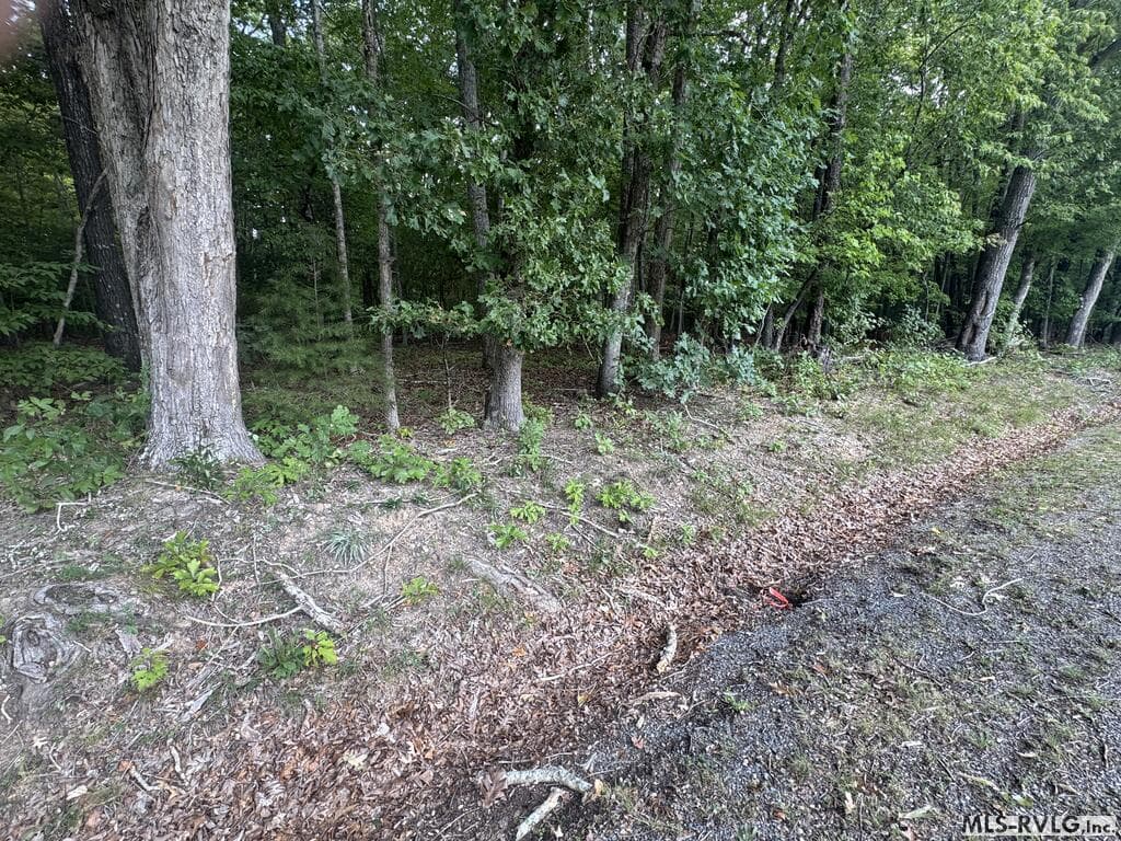 Other-See Remarks,Unimproved Land at Lot 1B Mill Creek Road, Clarksville VA 23927, Clarksville, photo 15 of 21