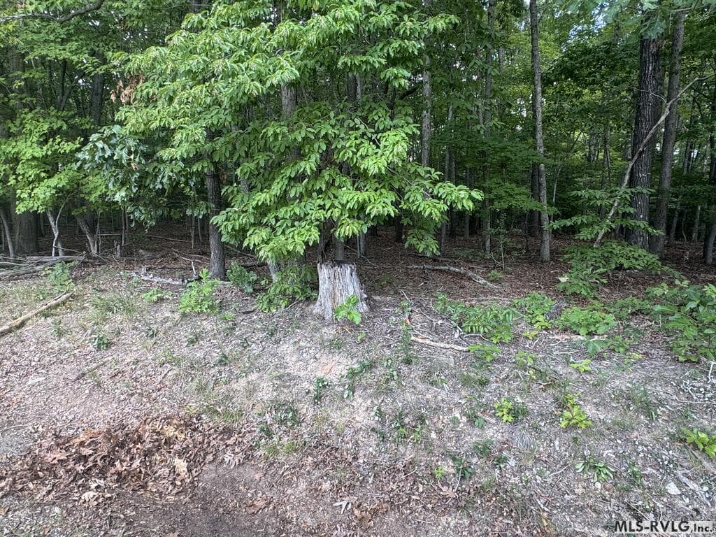Other-See Remarks,Unimproved Land at Lot 1D Mill Creek Road, Clarksville VA 23927, Clarksville, photo 13 of 17