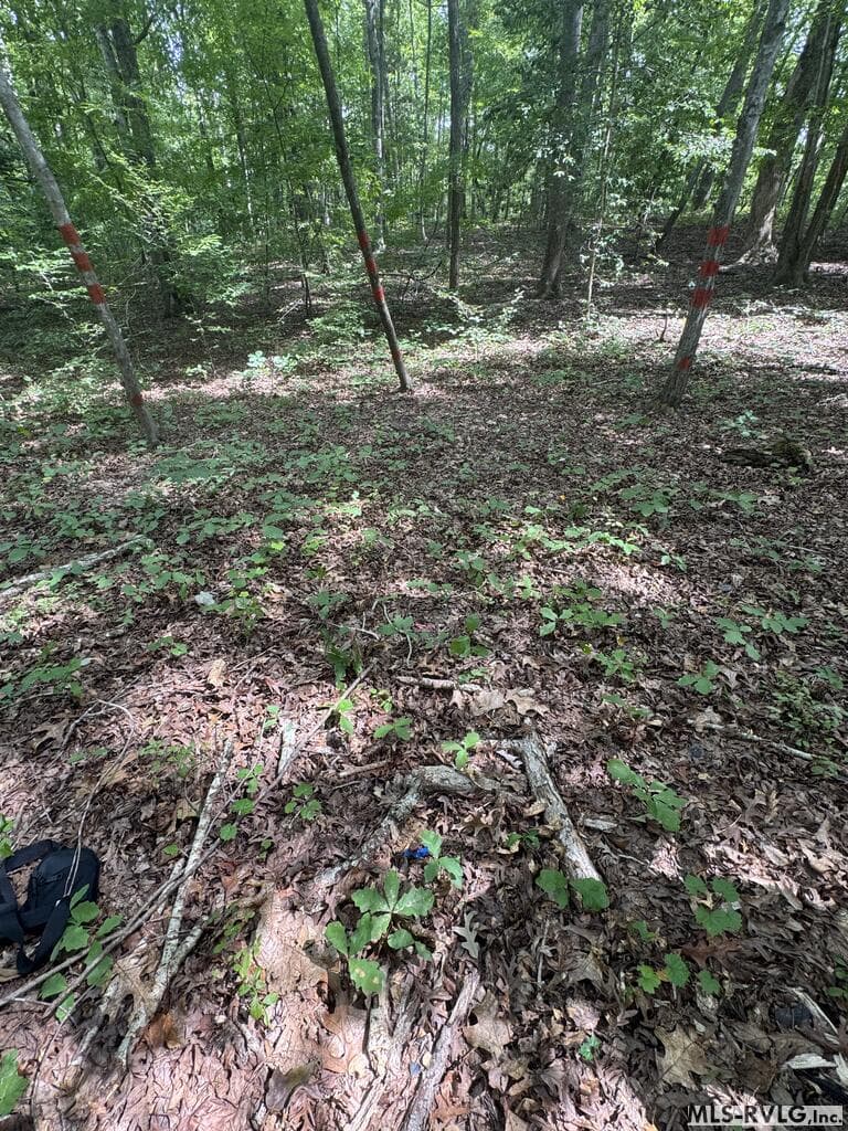 Other-See Remarks,Unimproved Land at Lot 1D Mill Creek Road, Clarksville VA 23927, Clarksville, photo 16 of 17