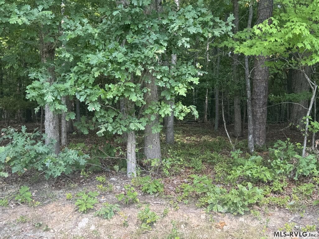 Other-See Remarks,Unimproved Land at Lots1B-D Mill Creek Road, Clarksville VA 23927, Clarksville, photo 11 of 21