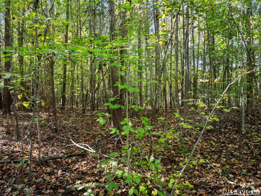 Acreage,Residential Lot-Restricted,Unimproved Land at 000 Second Ave, Lawrenceville VA 23868, Lawrenceville, photo 3 of 38