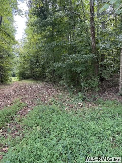 Acreage,Residential Lot-Restricted,Unimproved Land at 000 Second Ave, Lawrenceville VA 23868, Lawrenceville, photo 9 of 38