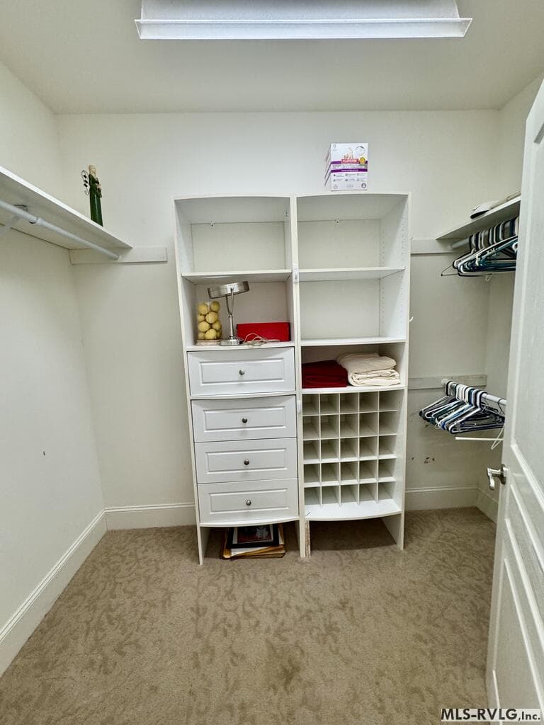 She Closet... - 207 Sir Payton Dr., Clarksville VA 23927, Clarksville