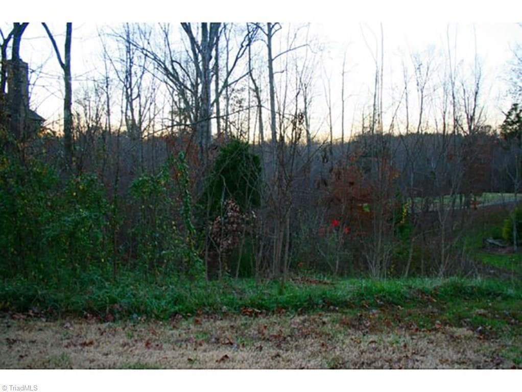 705 Croswell Court, Whitsett NC 27377
