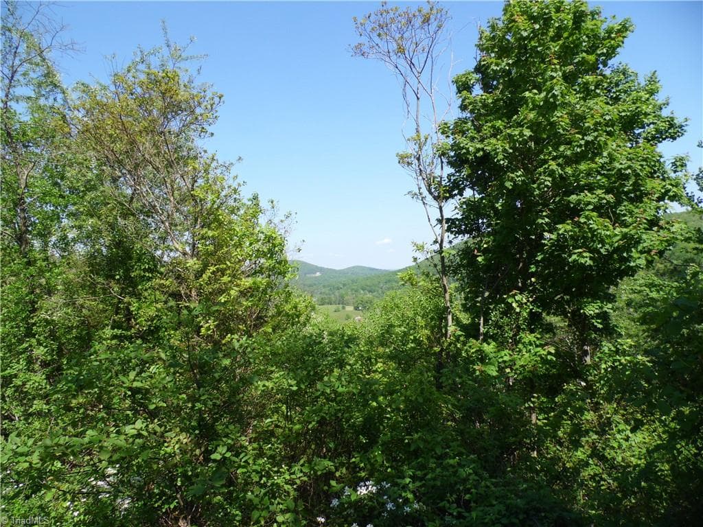 Single Family Residence at Lot #37 Ridgewood Road, Sparta NC 28675, photo 9 of 12