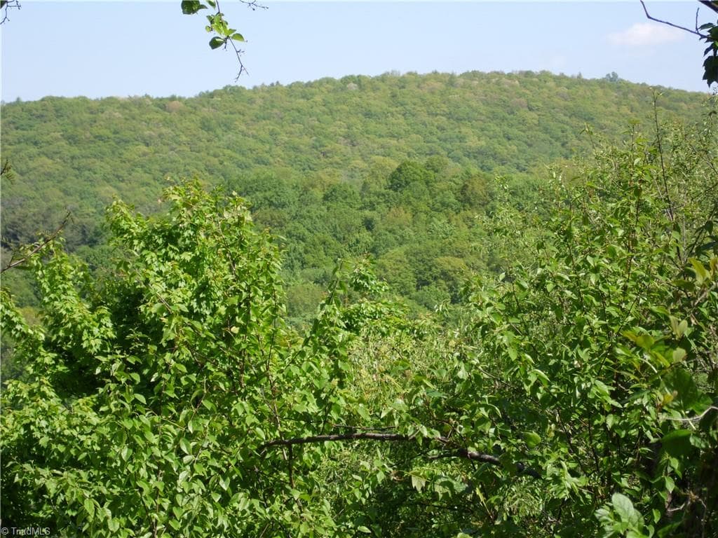 Single Family Residence at Lot #37 Ridgewood Road, Sparta NC 28675, photo 10 of 12