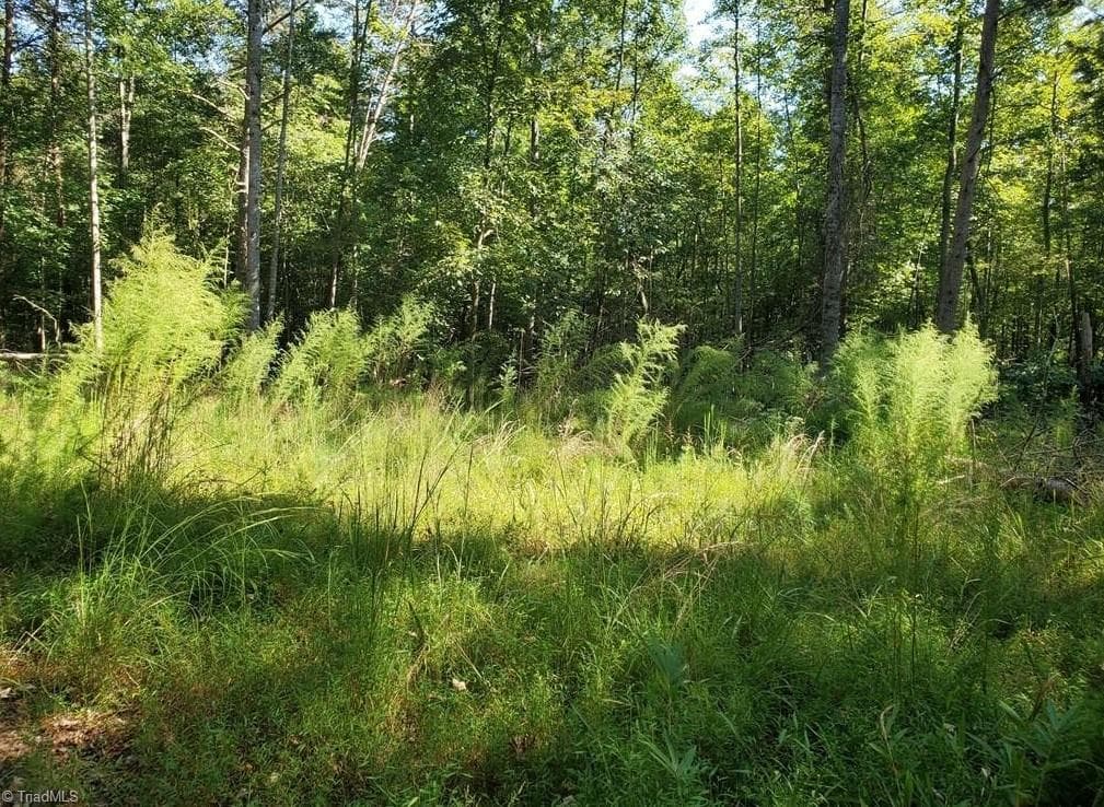Stick/Site Built at 652 Johnson Ridge Road, Elkin NC 28621, photo 20 of 25