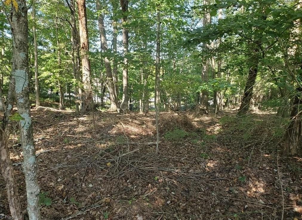 Stick/Site Built at 652 Johnson Ridge Road, Elkin NC 28621, photo 14 of 25