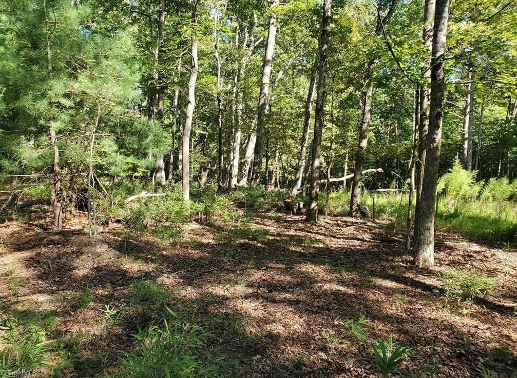 Stick/Site Built at 652 Johnson Ridge Road, Elkin NC 28621, photo 19 of 25