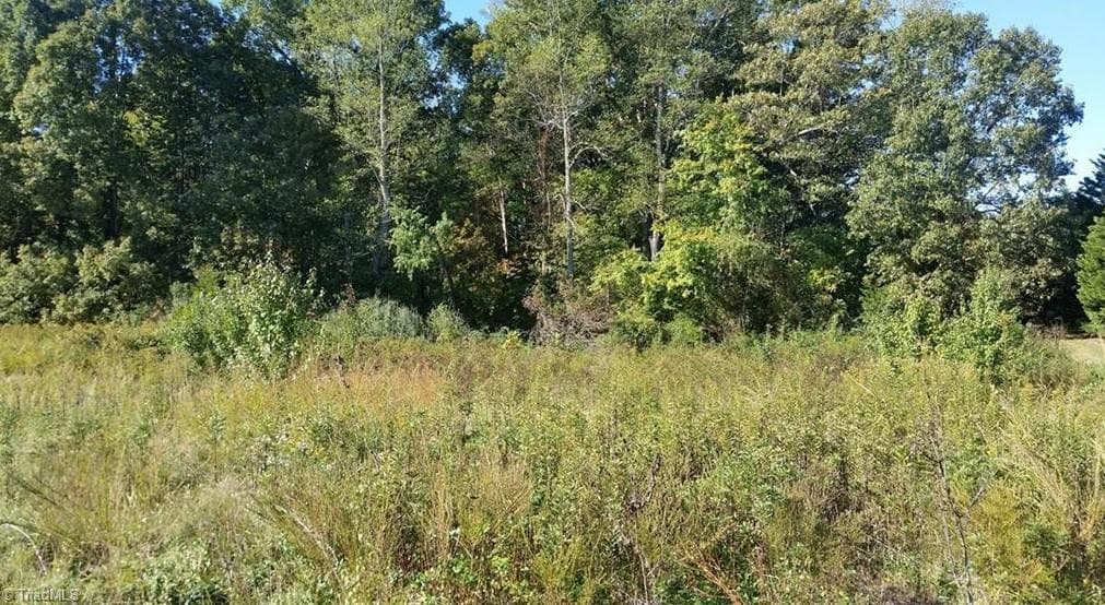 Unimproved Land at 00 Johnson Ridge Road, Elkin NC 28621, photo 4 of 4