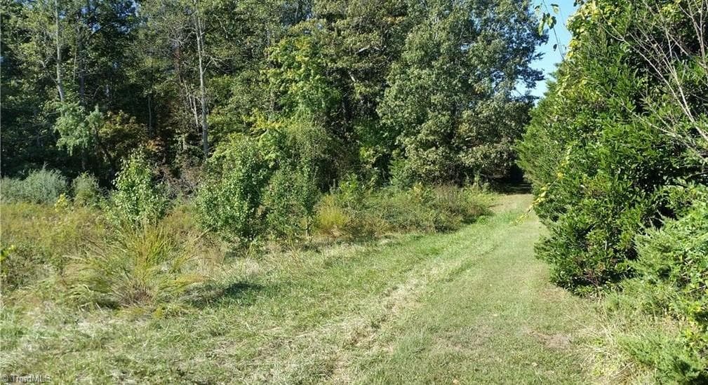 Unimproved Land at 0 Johnson Ridge Road, Elkin NC 28621, photo 3 of 5