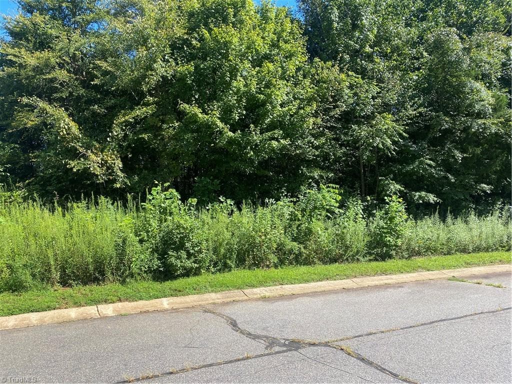 Unimproved Land at LOT 33 Rhode Island Court, Mocksville NC 27028, photo 6 of 11