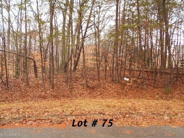 #75 Beaver Run, Eden NC 27288