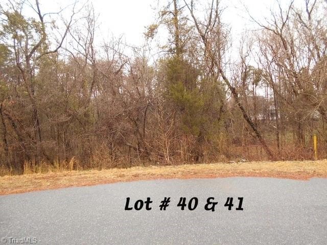 #40 & #41 Fox Run, Eden NC 27288