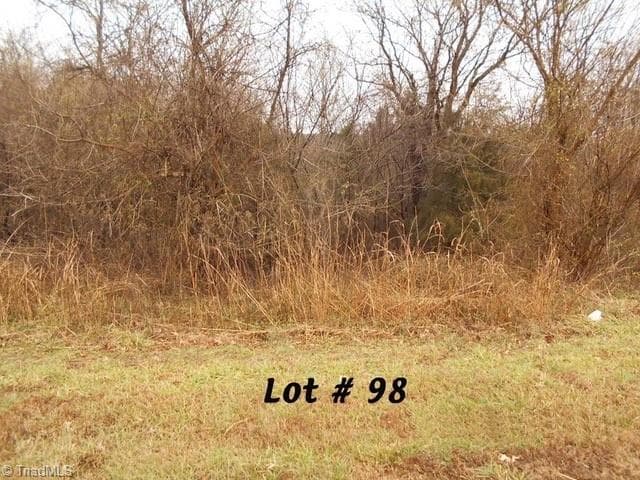 #98 River Chase Drive, Eden NC 27288