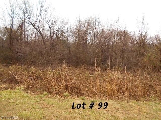#99 River Chase Drive, Eden NC 27288