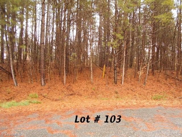 #103 Deer Run, Eden NC 27288