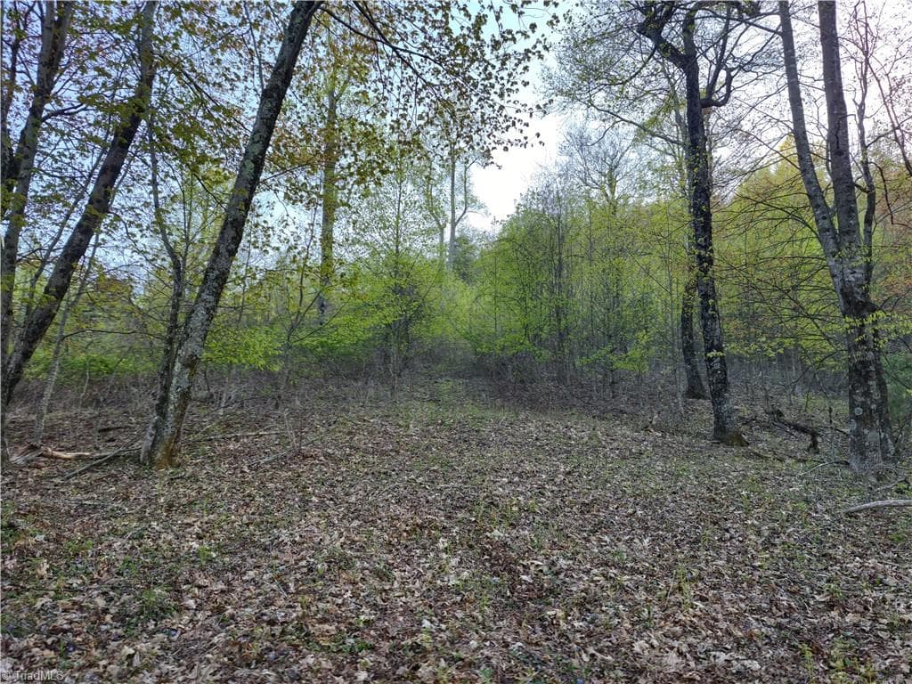 Single Family Residence at Lot 10 Park Vista Lane, Sparta NC 28675, photo 6 of 14