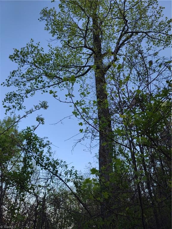 Single Family Residence at Lot 10 Park Vista Lane, Sparta NC 28675, photo 13 of 14