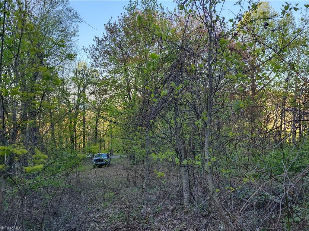 Single Family Residence at Lot 10 Park Vista Lane, Sparta NC 28675, photo 11 of 14