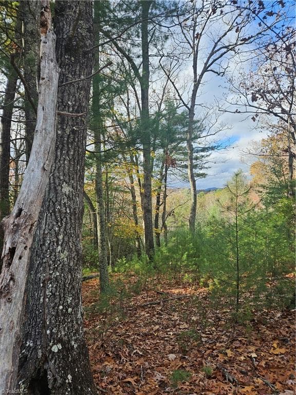 Single Family Residence at 0 Sutter's Ridge Lt 112 Rock Wall Road, McGrady NC 28649