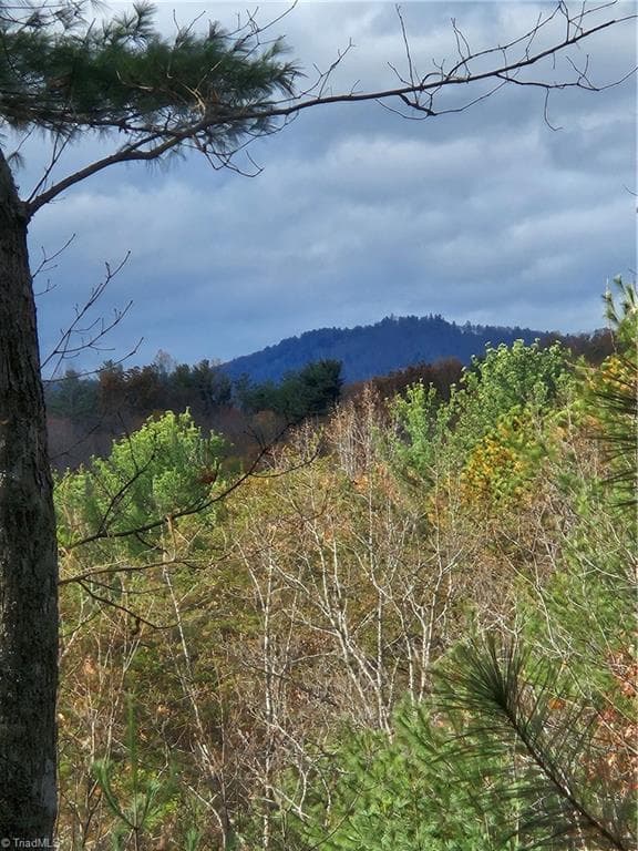 Single Family Residence at 0 Sutter's Ridge Lt 112 Rock Wall Road, McGrady NC 28649, photo 5 of 9