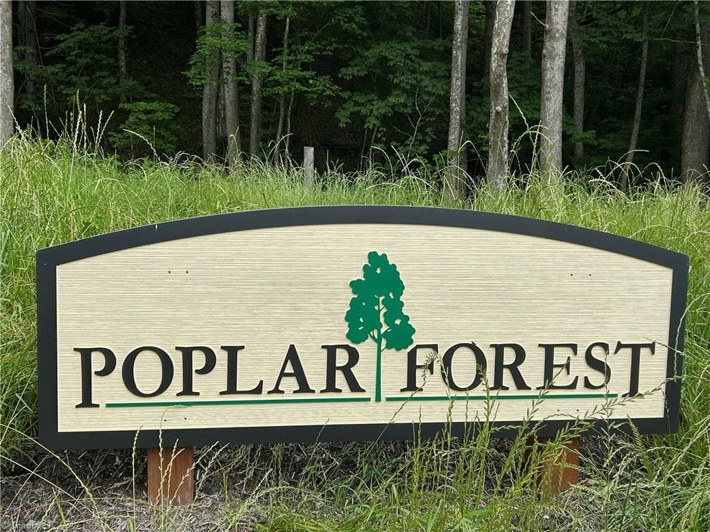 Single Family Residence at Lot 64 Poplar Forest Drive, Boone NC 28607, photo 3 of 23