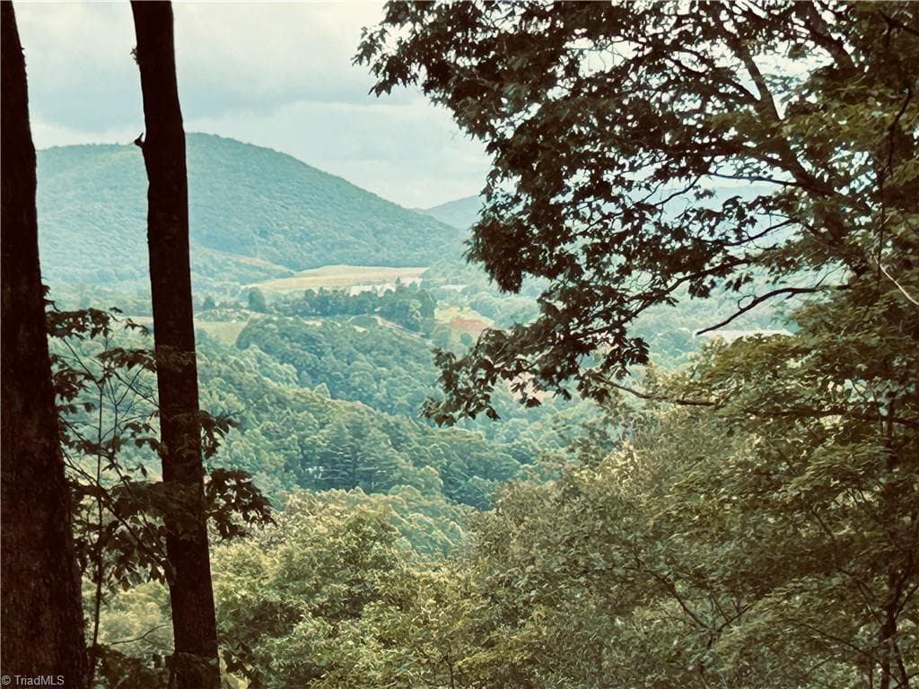 Lot 64 Poplar Forest Drive, Boone NC 28607
