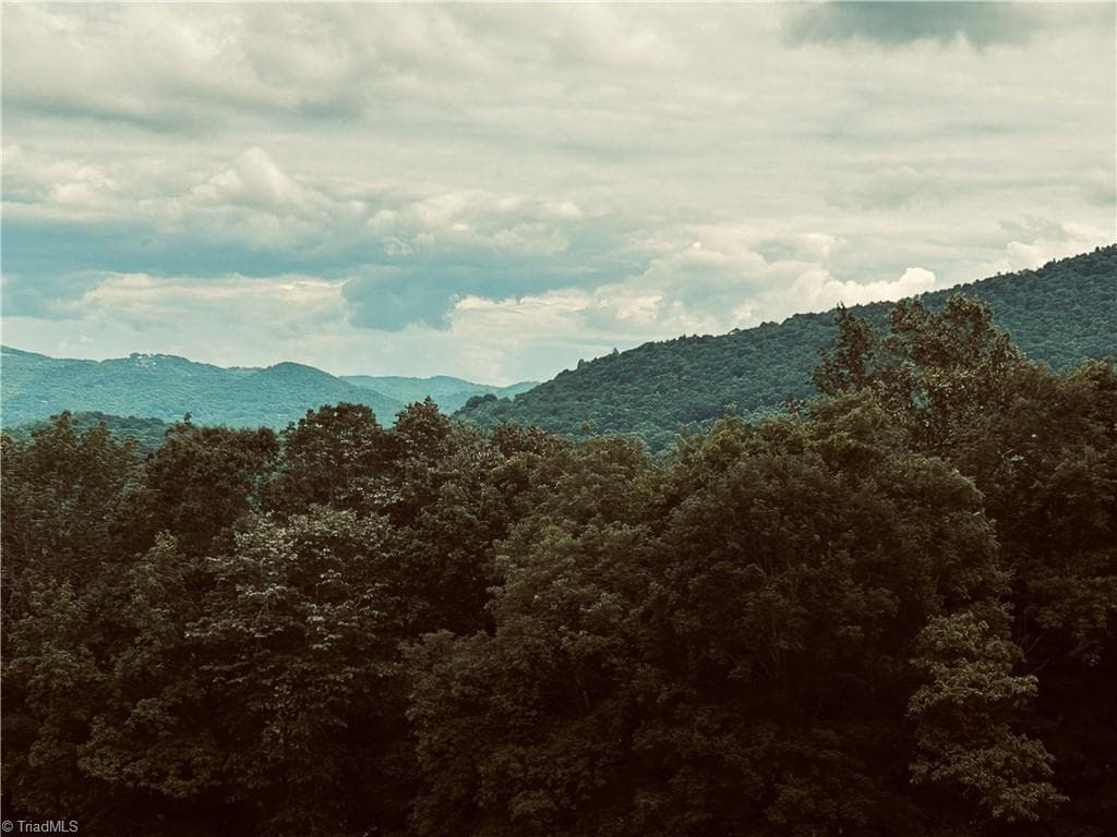Single Family Residence at Lot 64 Poplar Forest Drive, Boone NC 28607, photo 20 of 23