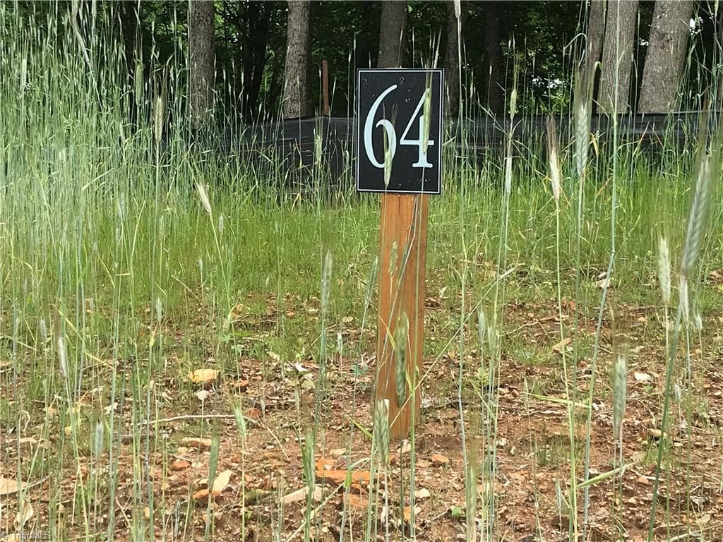 Single Family Residence at Lot 64 Poplar Forest Drive, Boone NC 28607, photo 11 of 23