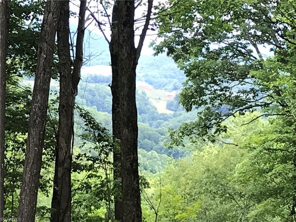 Single Family Residence at Lot 64 Poplar Forest Drive, Boone NC 28607, photo 19 of 23