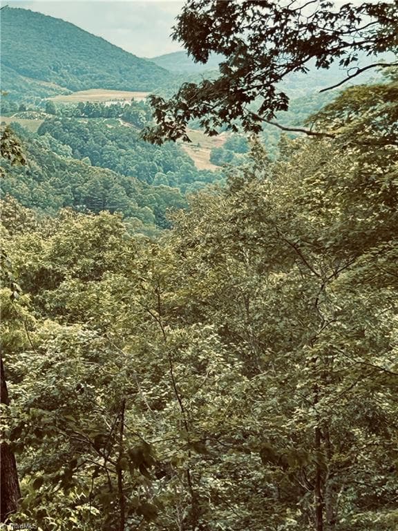 Single Family Residence at Lot 64 Poplar Forest Drive, Boone NC 28607, photo 21 of 23