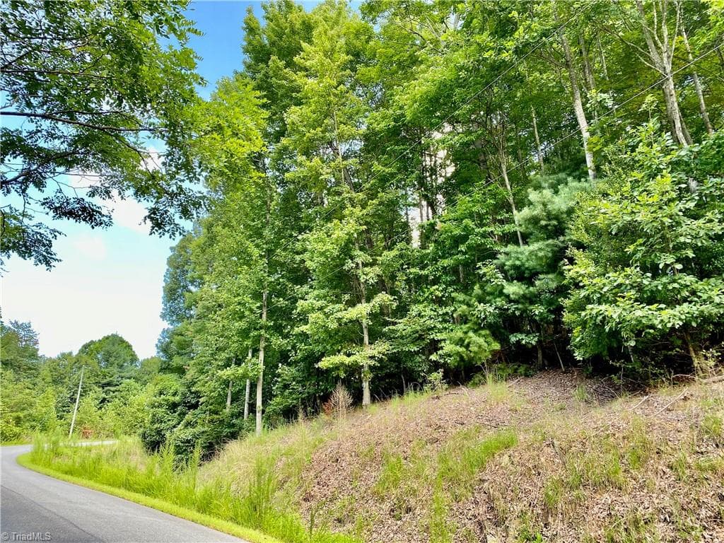 Single Family Residence at Lot 1 Pinnacle Drive, Boomer NC 28665, photo 6 of 12