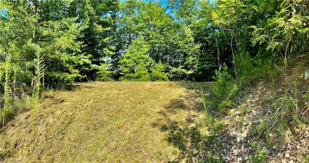 Single Family Residence at Lot 1 Pinnacle Drive, Boomer NC 28665, photo 3 of 12