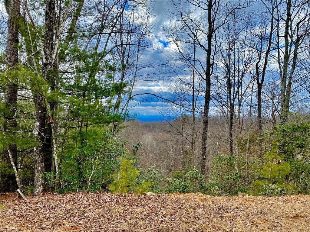 Lot 1 Pinnacle Drive, Boomer NC 28665
