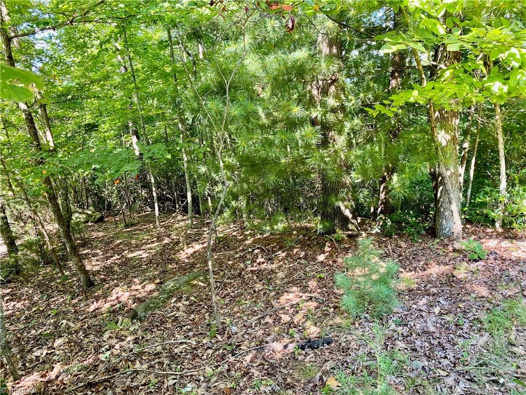 Single Family Residence at Lot 1 Pinnacle Drive, Boomer NC 28665, photo 5 of 12