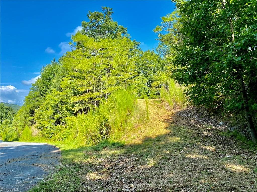 Single Family Residence at Lot 1 Pinnacle Drive, Boomer NC 28665, photo 4 of 12