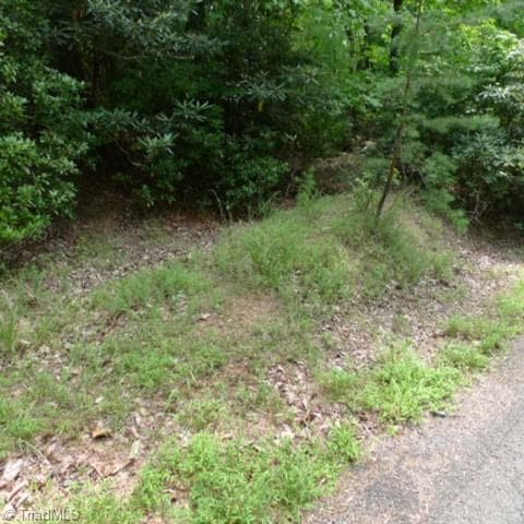 Single Family Residence at Lot 17 Mountain View Drive, Lowgap NC 27024, photo 3 of 3