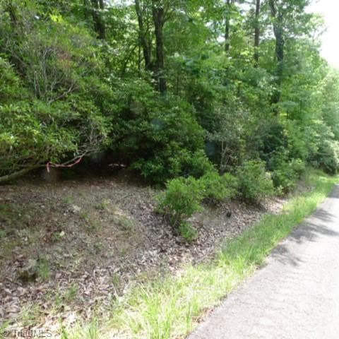 Lot 17 Mountain View Drive, Lowgap NC 27024