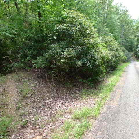 Lot 18 Mountain View Drive, Lowgap NC 27024